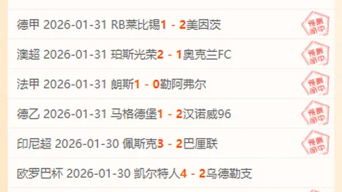 久尔杰维奇谈熊猫杯遗憾，亚洲杯展望再攀高峰